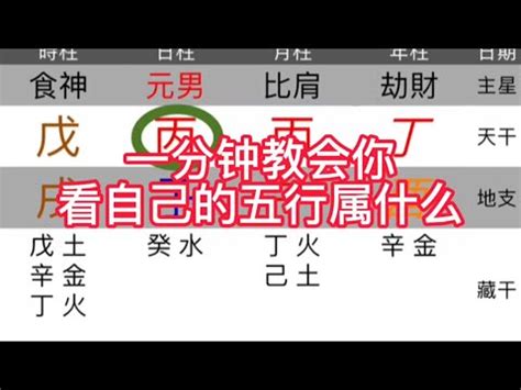 五行屬什麼怎麼看